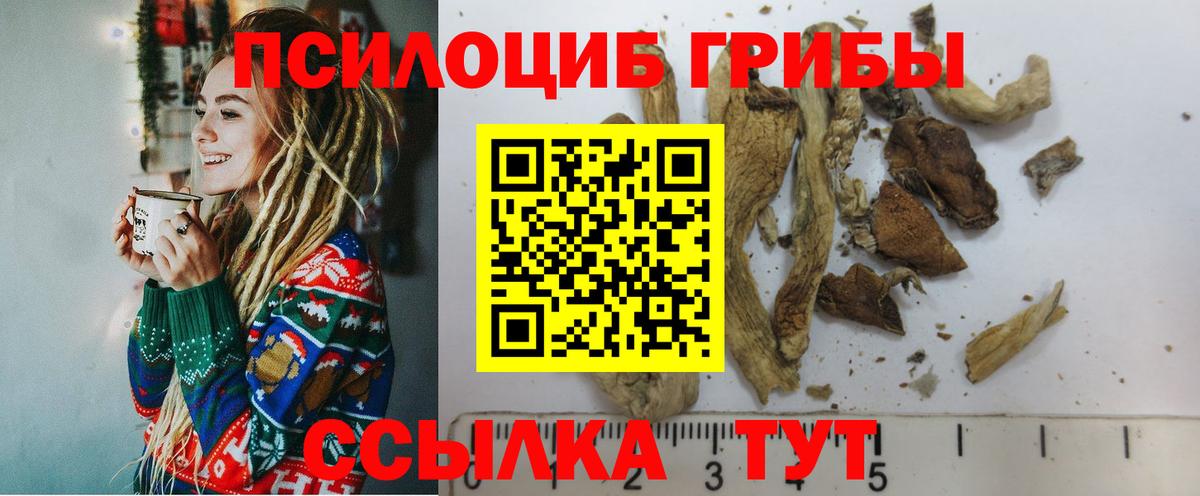 Белгород  Псилоцибиновые грибы GOLDEN TEACHER  Вход с VPN 