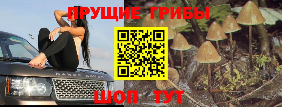 Галлюциногенные грибы ЛСД Белгород