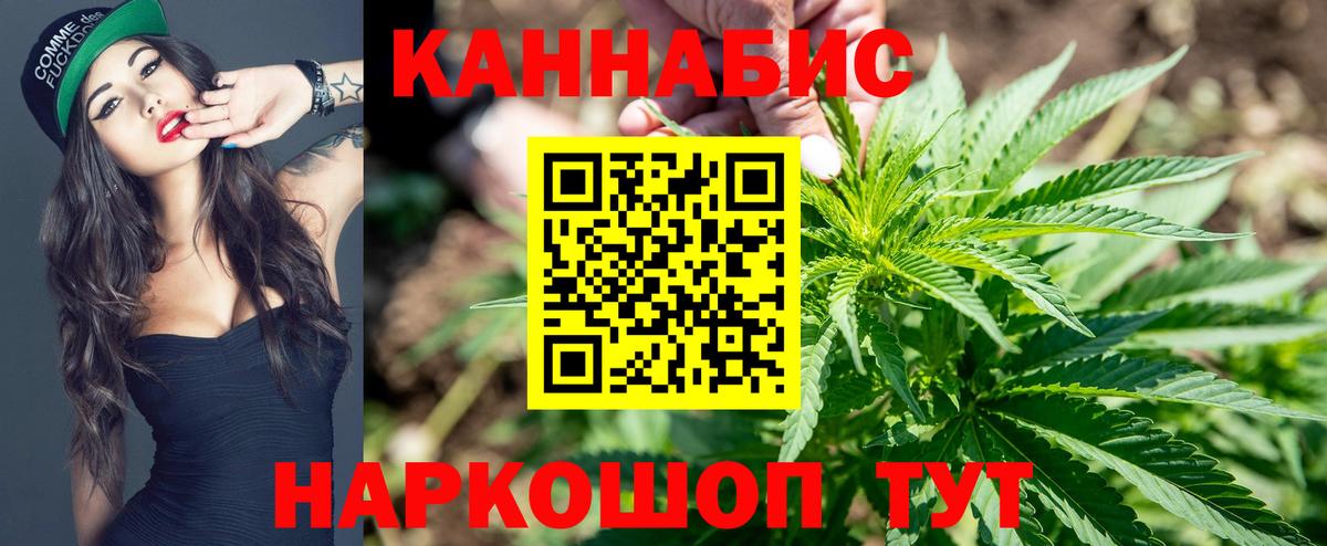Конопля конопля Белгород